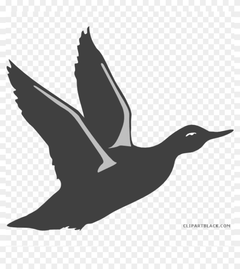 Free Png Bird Taking Off Png Image With Transparent - Mallard Duck Duck ...