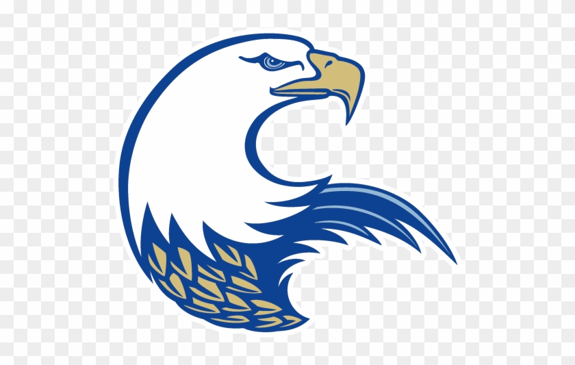 Eagle Logo png download - 500*500 - Free Transparent Philadelphia