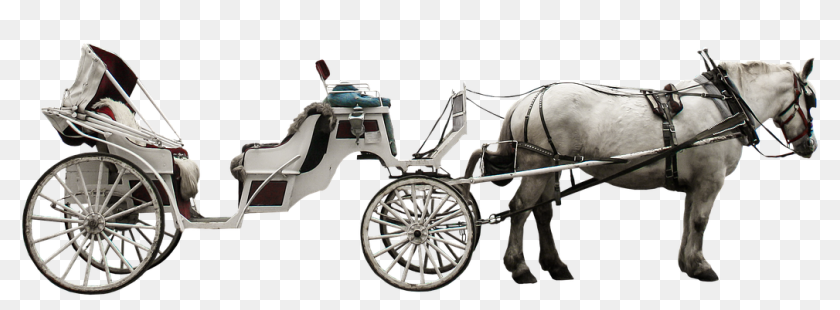 horse drawn carriage coach traffic carriage hd png download 1280x610 4975197 pinpng pinpng