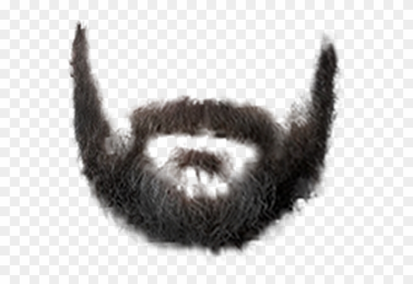 Png Beard Styles For Photoshop - Png Dadi, Transparent Png - 600x533 ...