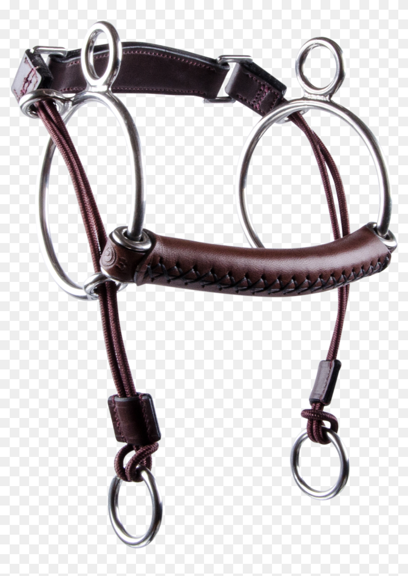 Bridle, HD Png Download - 3360x2223 (#5001600) - PinPng