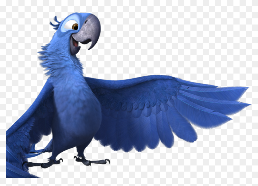 They Have Great Shape, Rhythm, And Yeah, They Look - Rio The Blue Bird ...