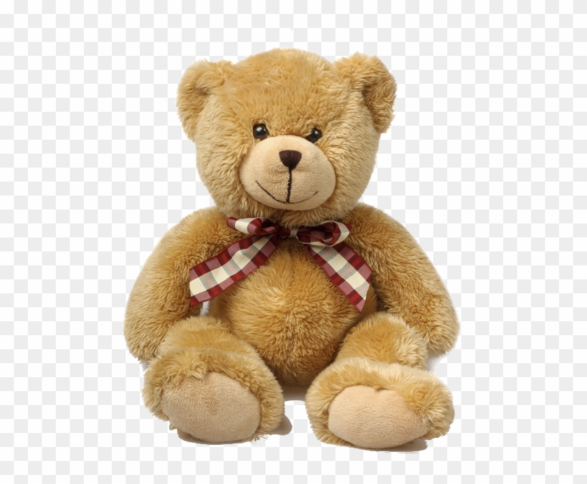 teddy bear png