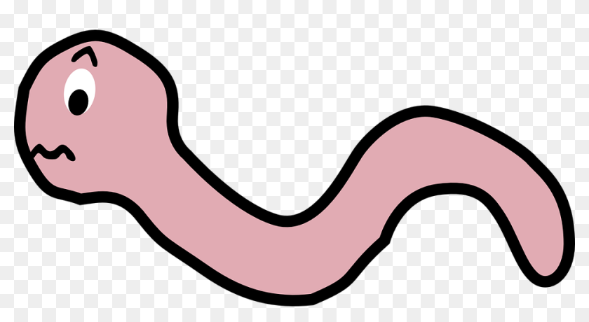 Transparent Earthworm Cartoon, HD Png Download - 960x480 (#5120996 ...