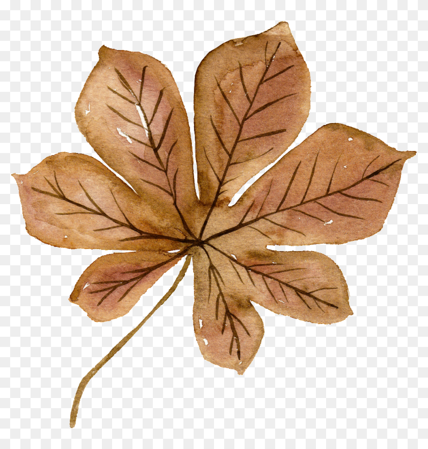 Aesthetic Brown Flowers PNG Images