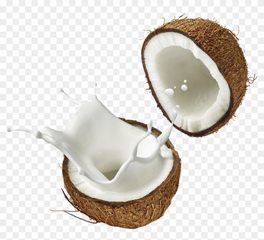 Coconut Png Background Image - Sip & Flip Coimbatore, Transparent Png ...