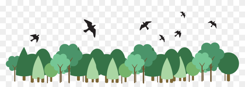 Graphic Showing Birds Flying Above Trees - Birds Flying Above The Trees