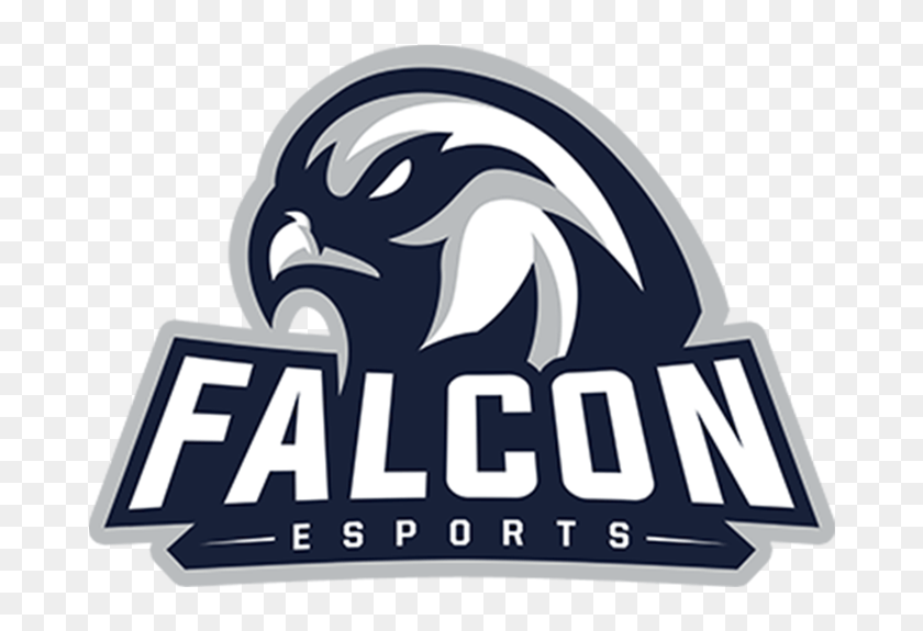 Falcons team. Team Falcons. Falcon Esports. Team Falcons logo. Falcons Esports logo.