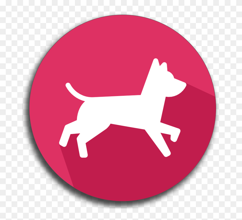 Feeding, Walking, Transporting, And Taking Care Of - Dog, HD Png