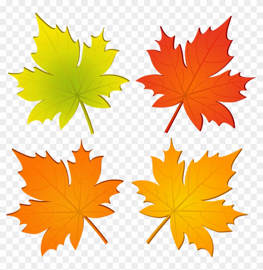 Free Png Download Set Of Autumn Leaves Png Clipart, Transparent Png ...