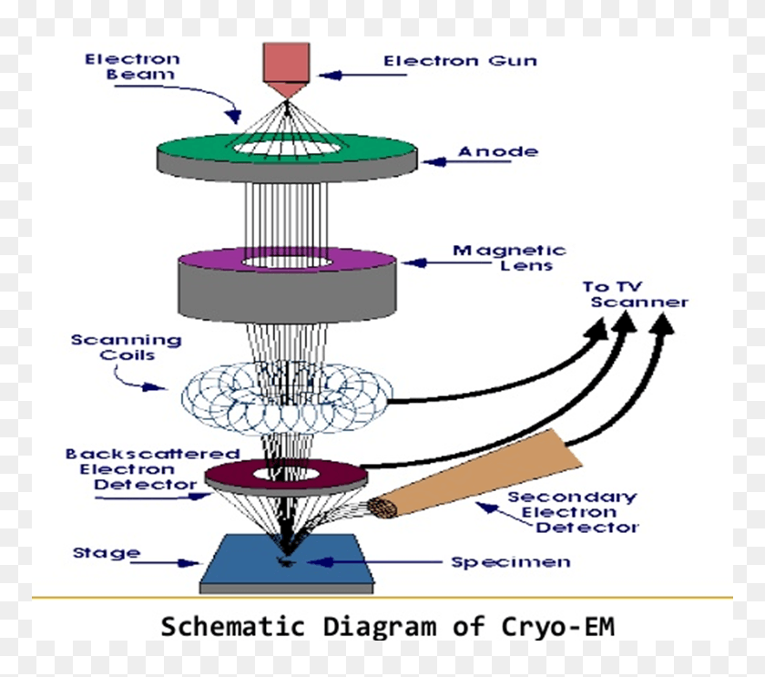 Scanning Electron Microscope, HD Png Download - 770x663 (#5716585) - PinPng