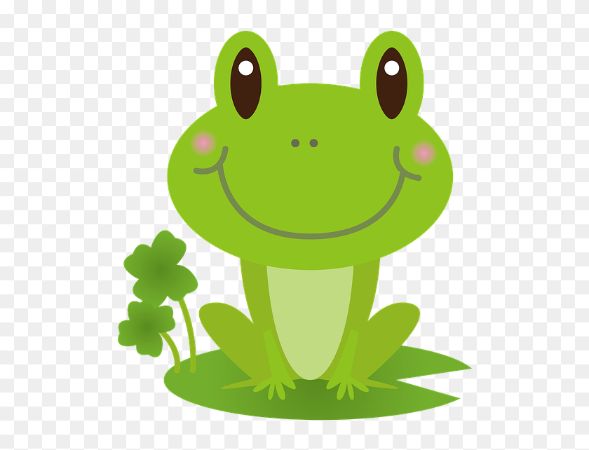 Frog Green Rain Rainy Cartoon Cute - Gambar Kartun Kodok Lucu, Hd Png 