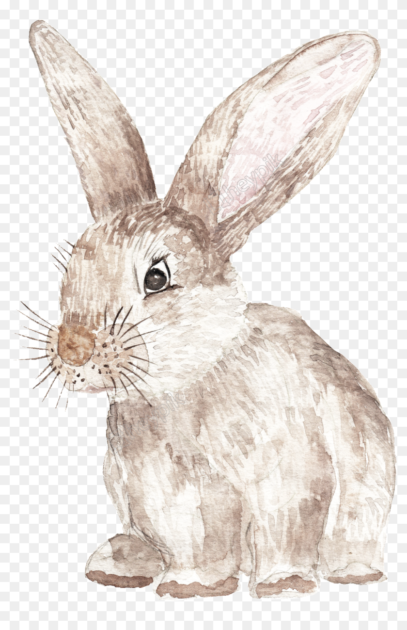 Vector Rabbit Transparent - Drawing, HD Png Download - 1024x1519 ...