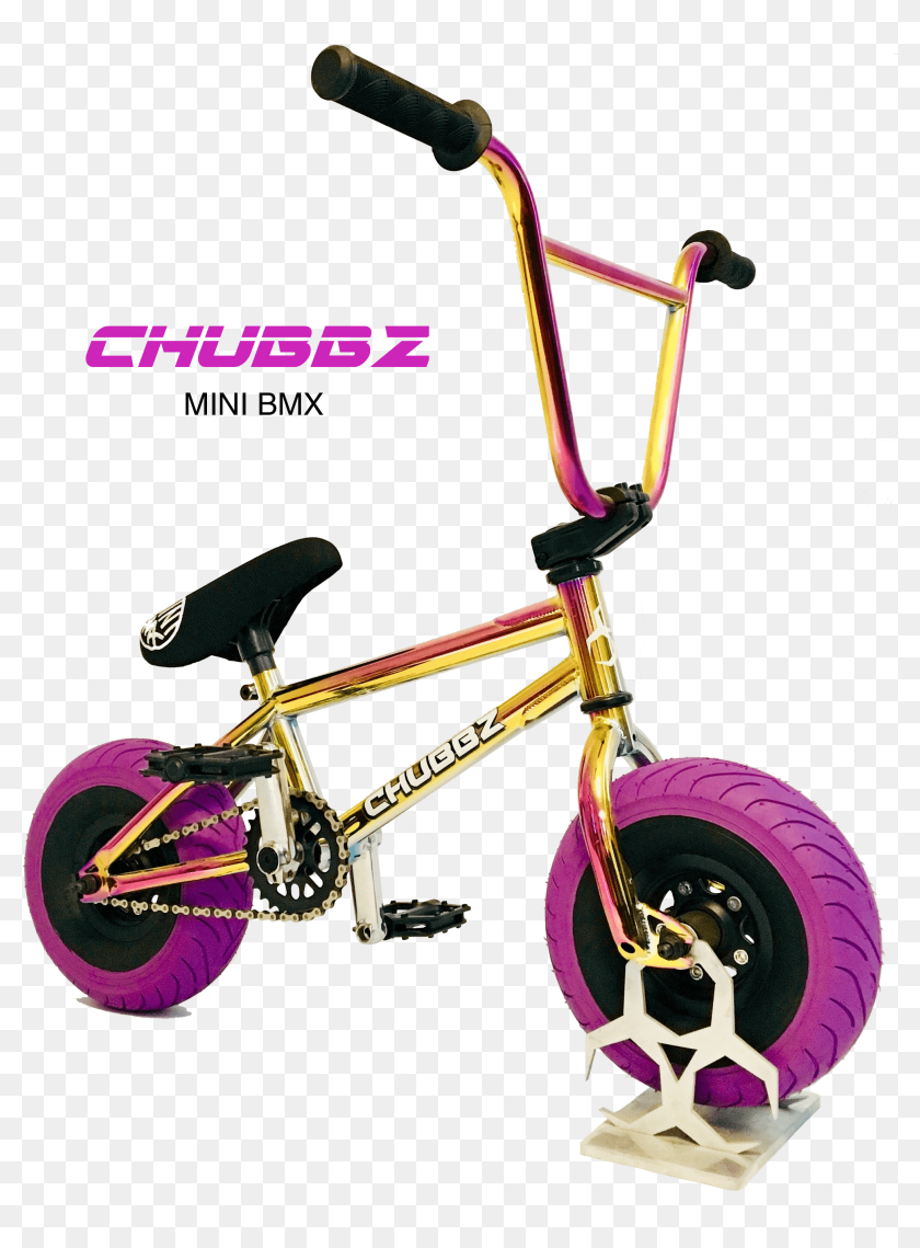 Chubbz bmx 2024