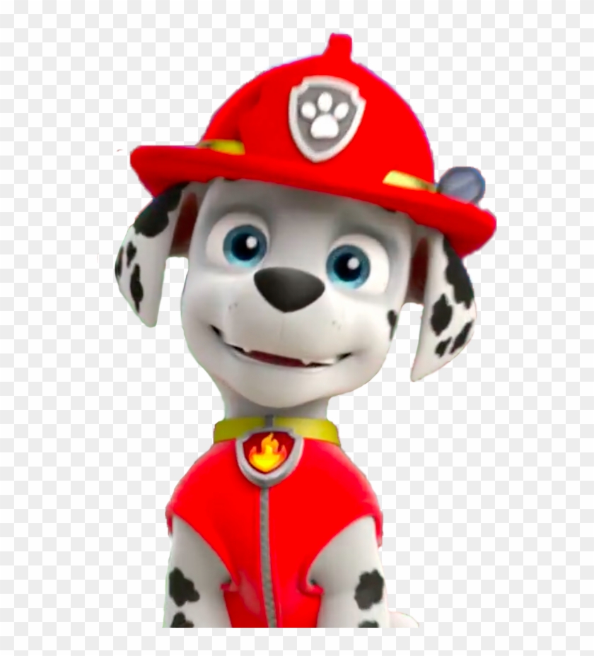 Paw Patrol Marshall Png, Transparent Png - 1225x872 (#593465) - PinPng