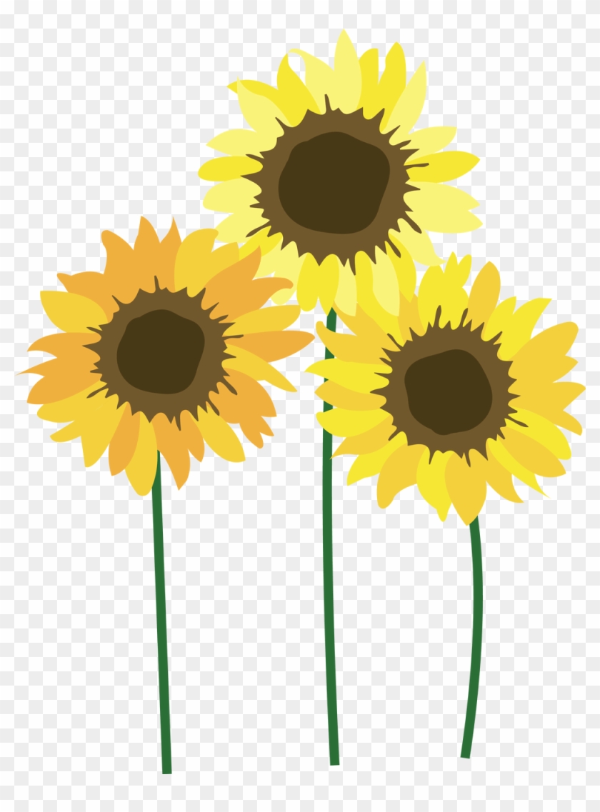 Sunflower Festival - Sunflower With Long Stem Clipart, HD Png Download ...