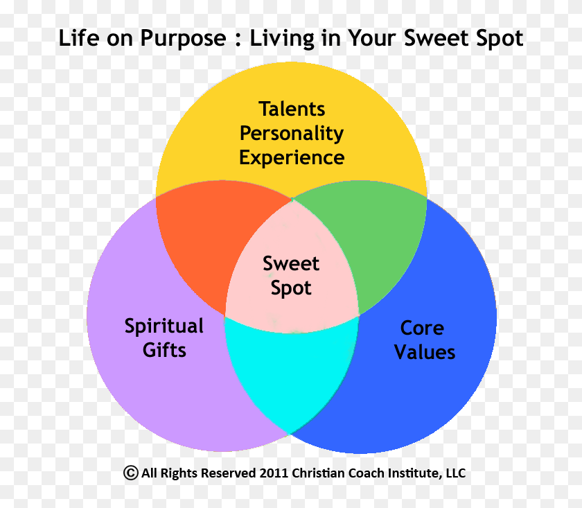 Sweet spot. Свит спот круги схема. Spot a Talent. Personality experience.