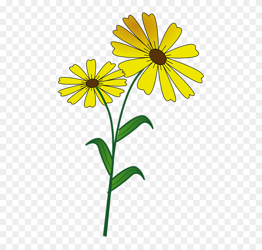 Flower Daisy Vegan Yellow Spring Happy - Margarida Amarela Flor Desenho 