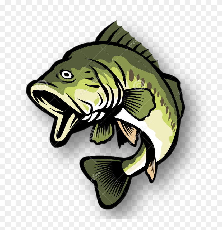 Pastedgraphic-2 - Largemouth Bass Cartoon Bass Fish, HD Png Download ...