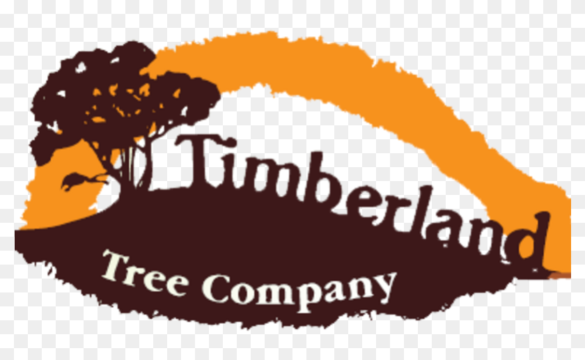 Trees company. Тимберленд дерево. Нашивка Timberland. Дерево как тимберленд. Тимберленд дерево что значит.