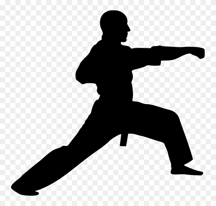 Silhouette Kung Fu Wushu Shaolin Action Active - Martial Arts ...