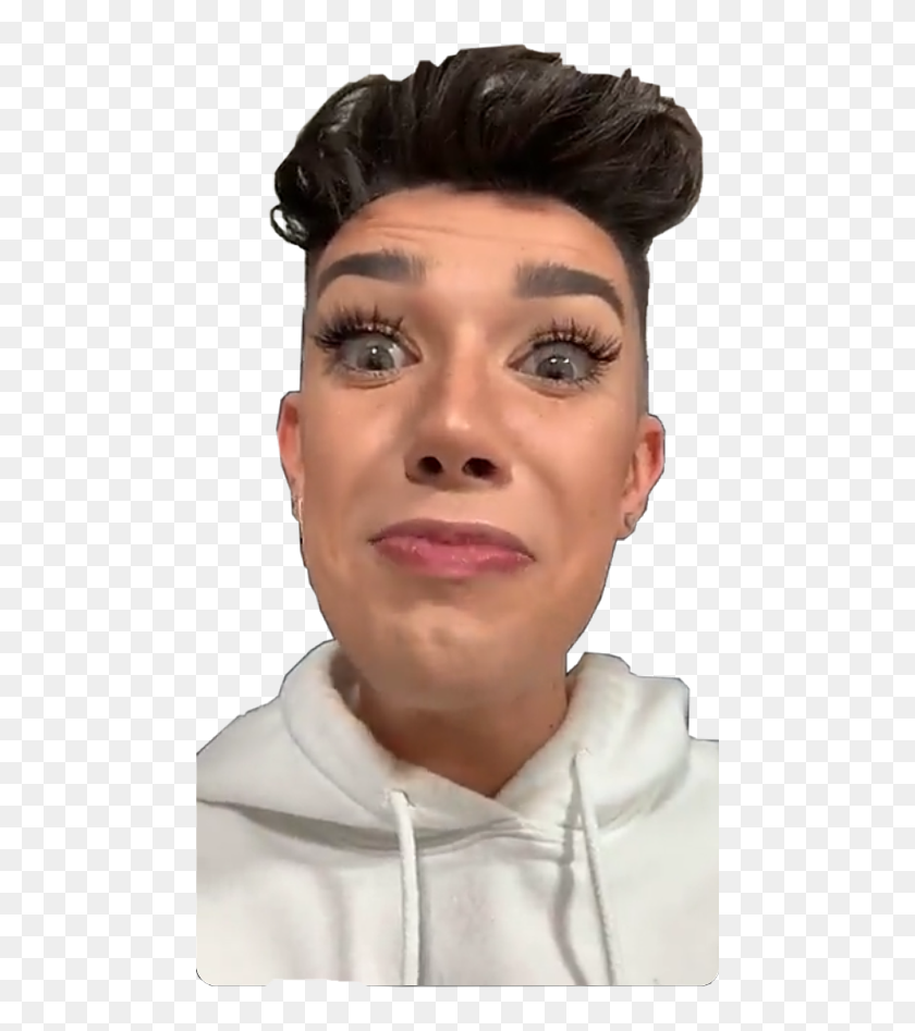 James Charles Coachella Outfits, HD Png Download 480x867 (6113373