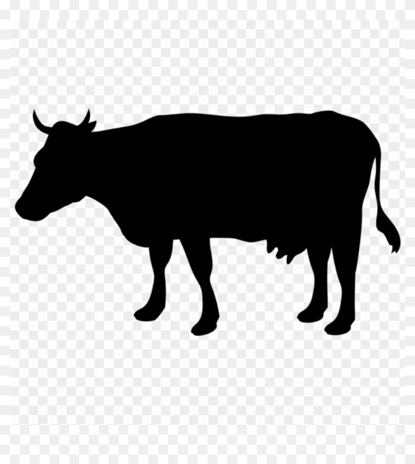 Free Png Cow Silhouette Png Cow Silhouette Png Transparent Png 850x503 6118313 Pinpng