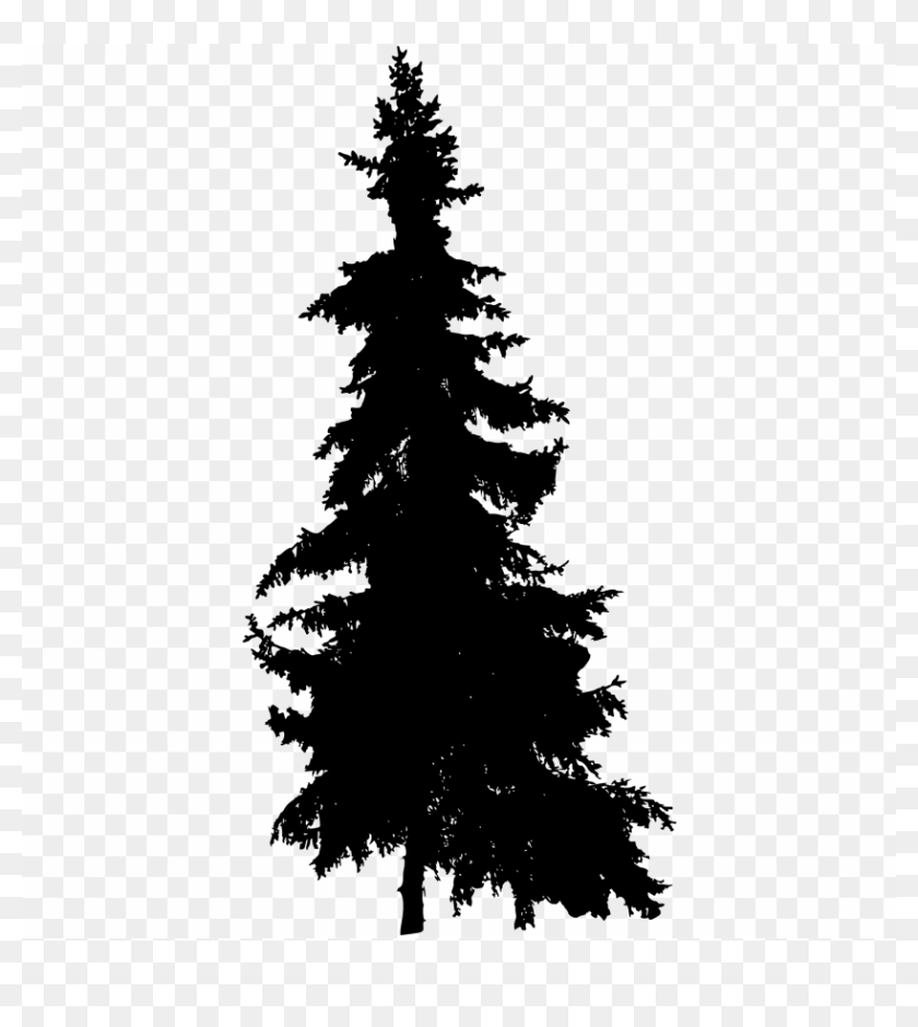 Free Png Pine Tree Silhouette Png - Pine Tree Silhouette Png ...