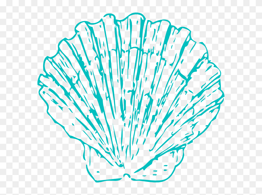 Website Shell Png - Scallop Clipart, Transparent Png - 600x544 ...