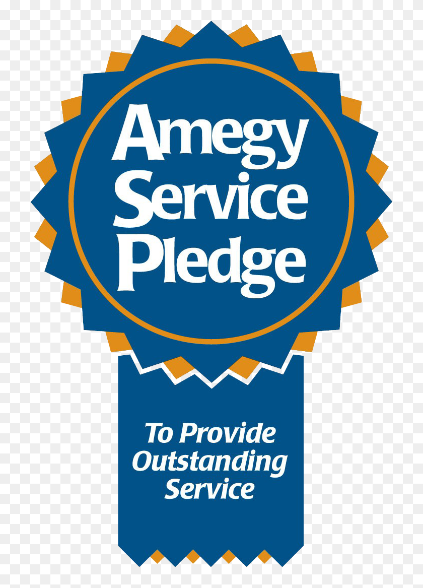 Amegy Service Pledge Ribbon King Logo - Amegy Bank Of Texas, HD Png ...