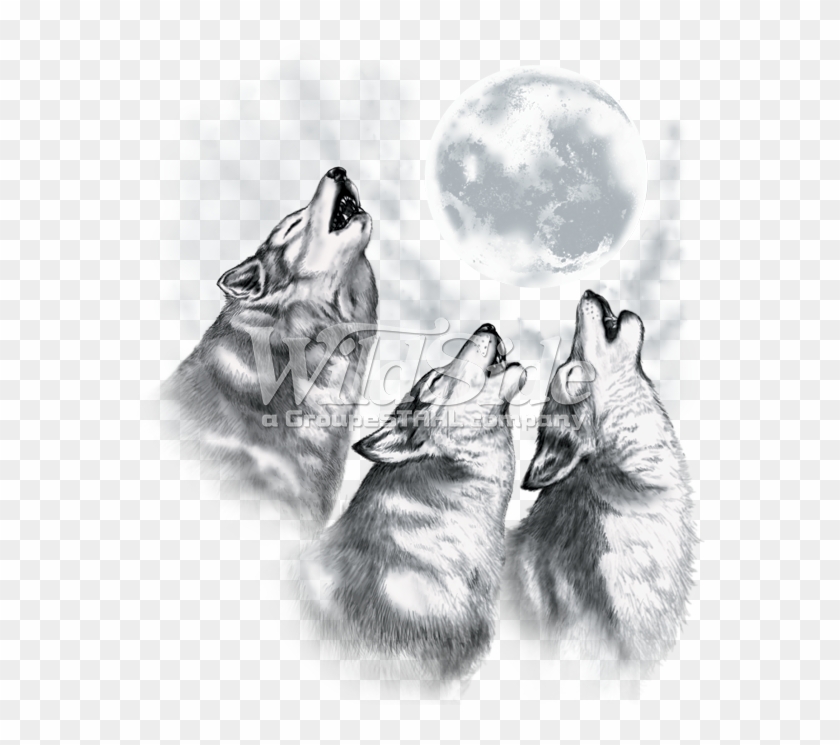 3 Wolves Howling At The Moon Wolves Howling At The Moon Drawing Hd Png Download 675x675 635737 Pinpng