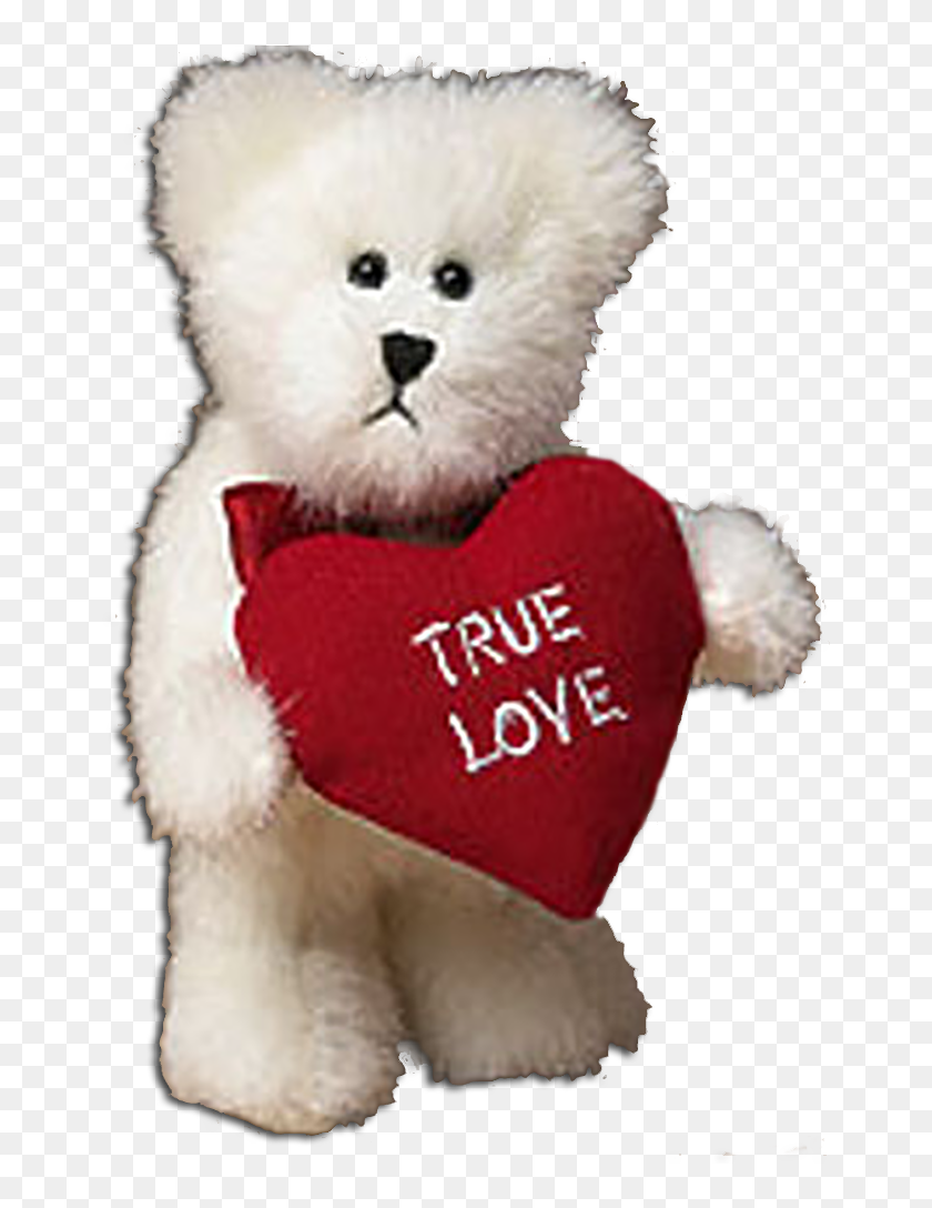 true love teddy bear