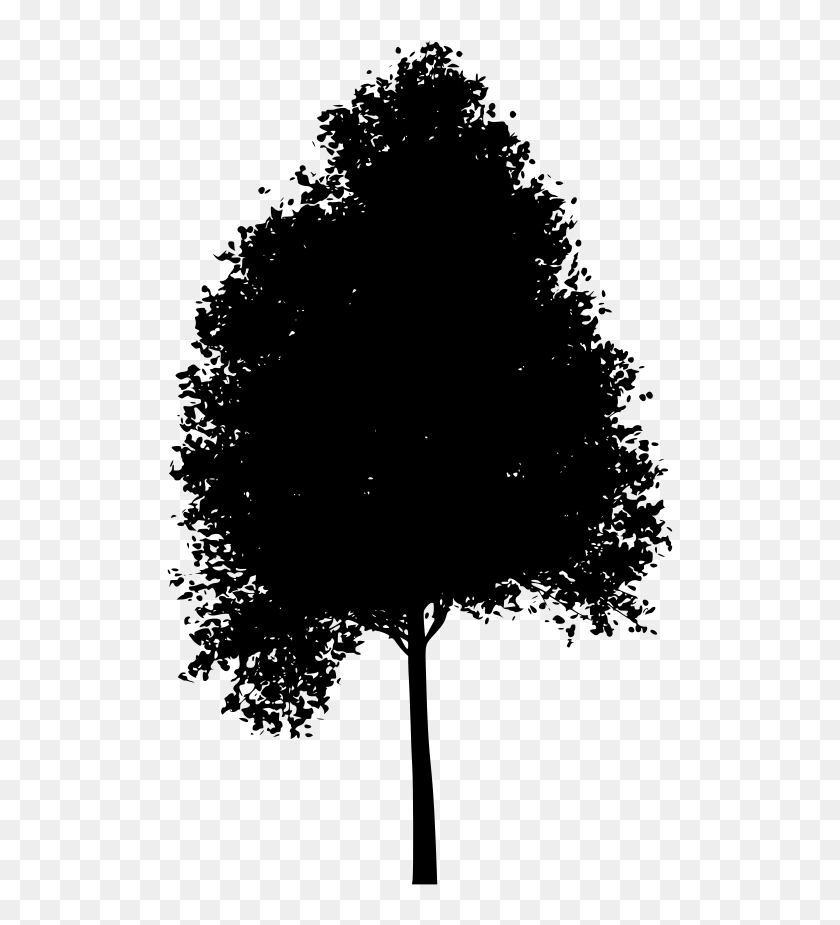 Download Png - Aspen Tree Png Clipart, Transparent Png - 1024x1024 ...