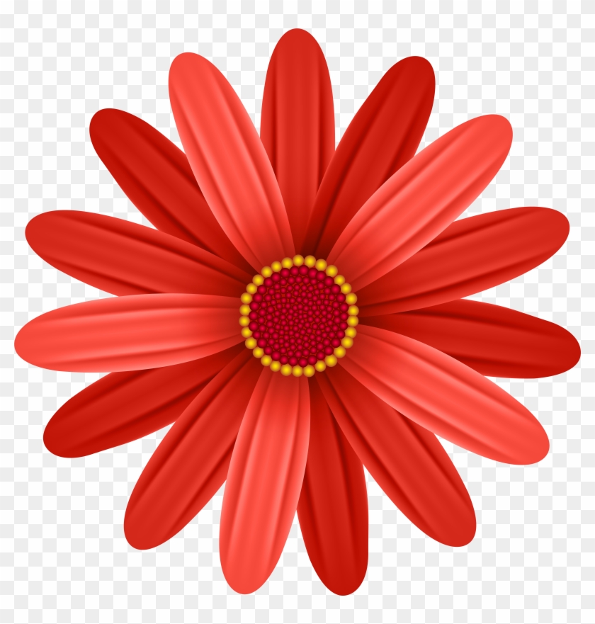 Red Flower Png, Transparent Png - 6988x7000 (#653235) - PinPng