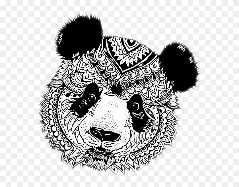 Download #panda#panda #mandala #mandalas #mandalamania - Panda Zentangle, HD Png Download - 578x578 ...