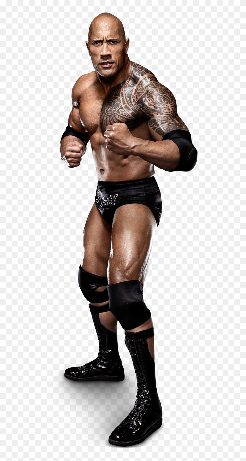 Download The Rock Transparent Image HQ PNG Image