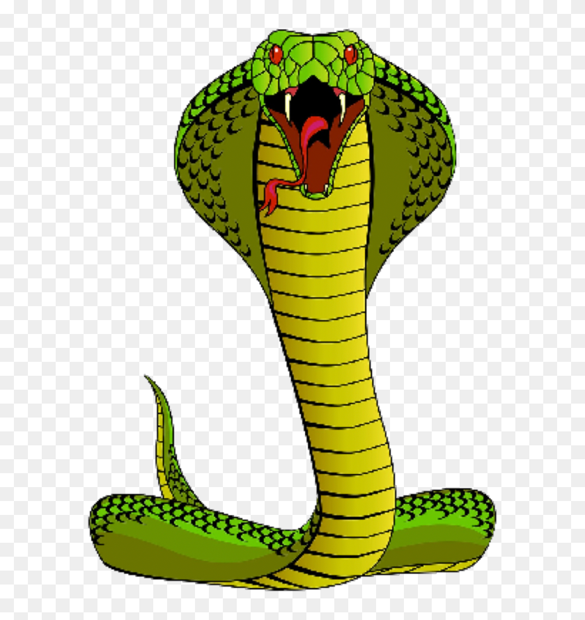 #cobra #snake #freetoedit - Cobra Cartoon Png, Transparent Png ...