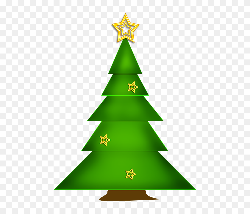 Christmas Tree Branches PNG 