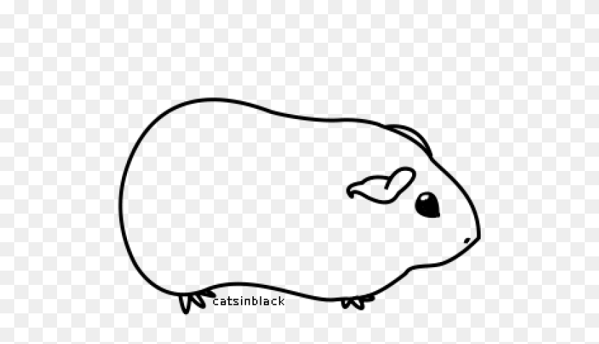 Guinea Pig Cartoon Drawing, HD Png Download - 640x480 (#6641317) - PinPng