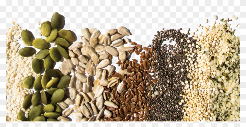 Seeds Png Seeds Image In Png Transparent Png 1651x786 672208