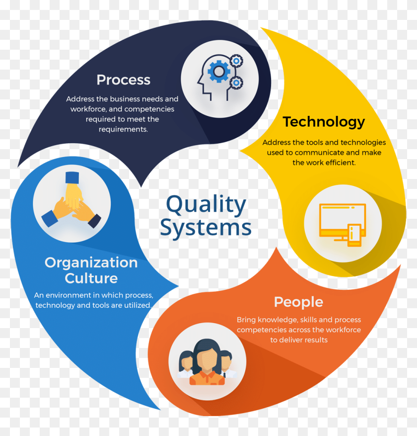 Process members. Quality Management System. Quality Management System (QMS). Total quality Management (TQM). Quality System концепция.