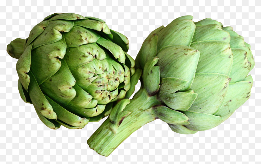 Artichoke - Artichoke Png, Transparent Png - 1348x798 (#6739725) - PinPng