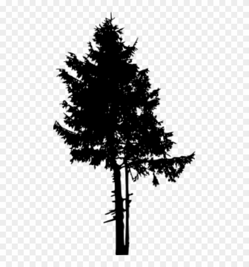 Pine Trees Silhouette Png, Transparent Png - 480x819 (#689600) - PinPng