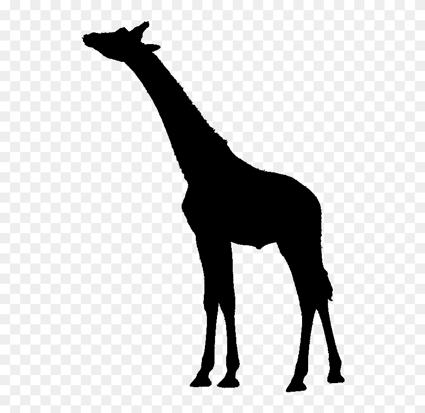Free Free 102 Elephant Giraffe Svg SVG PNG EPS DXF File