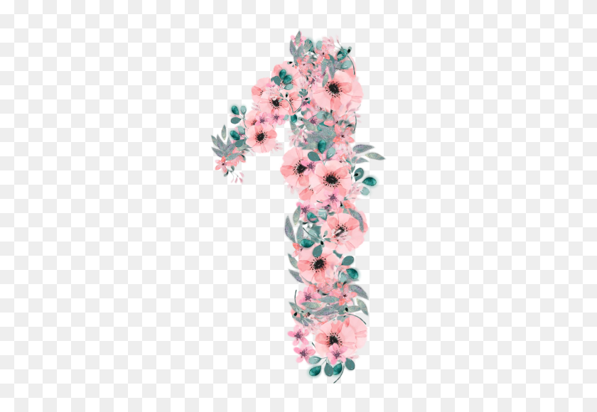 1 number1 one flower flowernumber number