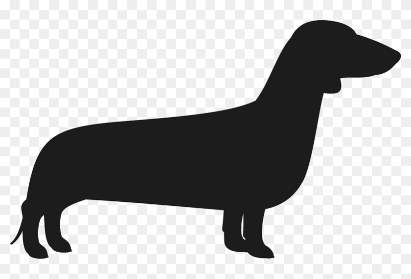 Dachshund Silhouette Png Free Weiner Dog Svg Transparent Png 800x800 6838516 Pinpng