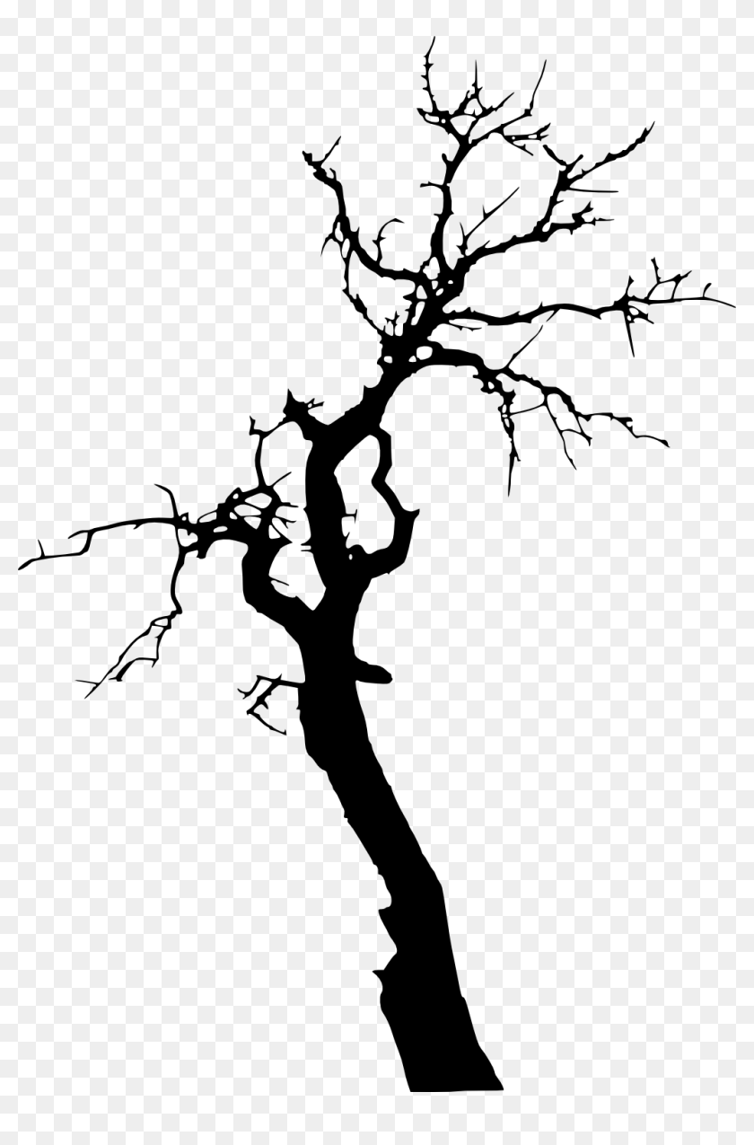 Tree Death Branch Clip Art - Tree Silhouette Transparent Background, HD ...