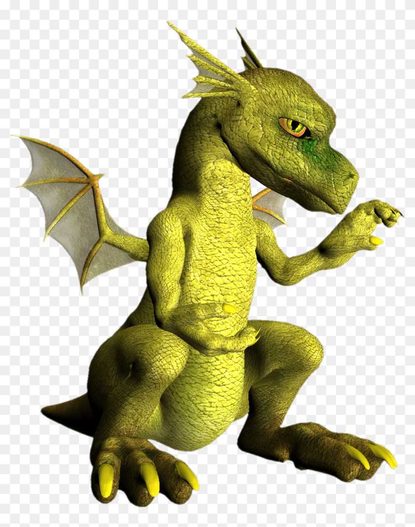 Dragon Png, Transparent Png - 800x987 (#6869581) - PinPng