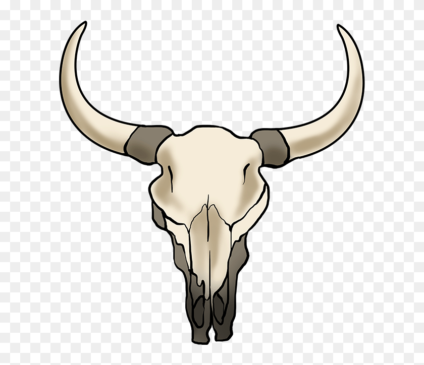 How To Draw Bull Skull - Bull Skull Drawing Step By Step, HD Png ...