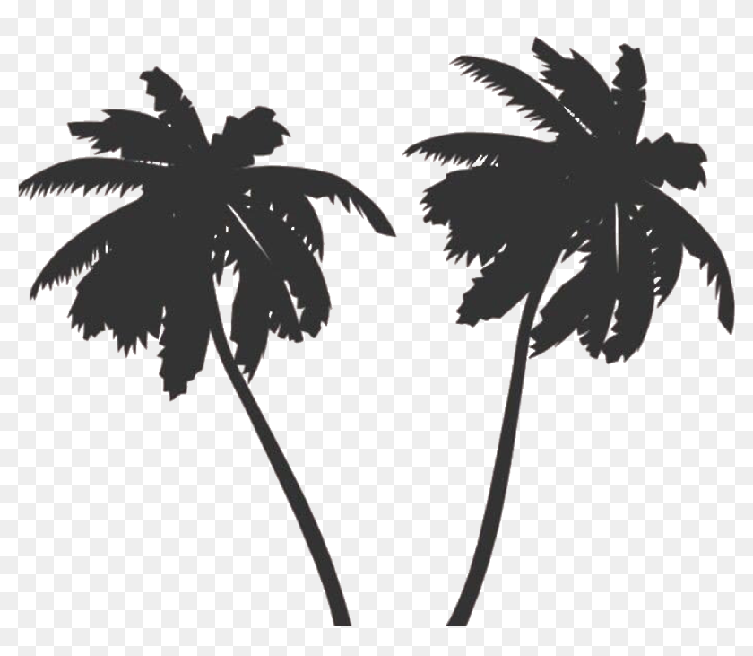 Transparent Tropical Island Clipart Black And White - Palm Tree Vector ...